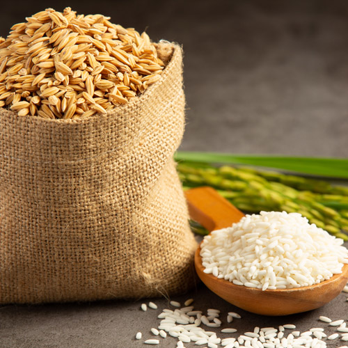 Arroz