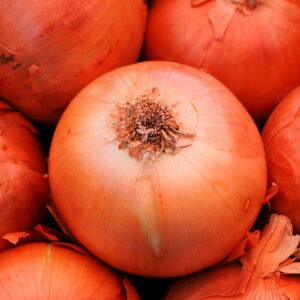 Cebola