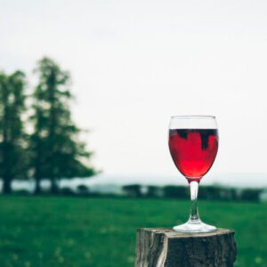Vinhos